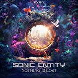 Artwork for "Nothing Is Lost"