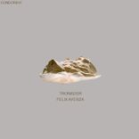 Portada para "Tronador"