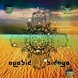 Artwork for "Bidaya"