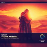 Artwork for "You're Amazing"