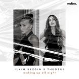 Artwork for "Making Up All Night"