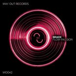 Artwork for "Flow Passion"