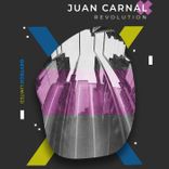 Artwork for "Revolution"