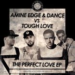 Artwork voor "The Perfect Love"