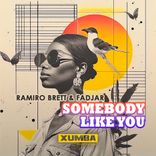 Artwork for "Somebody Like You"