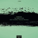 The Zhuangzi Paradox