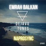 Portada para "Naprosync"