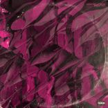 Artwork for "Kametto"