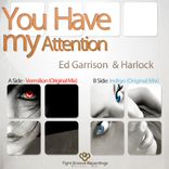 Artwork for "You Have My Attention"