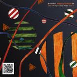 Artwork für "Wings of Vatican"