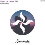 Artwork for "Feel in Love"
