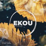 Artwork for "Ultron / Dunkin"