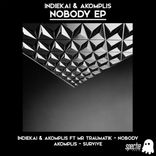 Artwork for "Nobody"