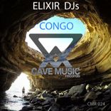 Portada para "Congo"