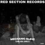 Artwork voor "Tehno Roki"