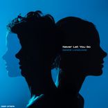 Artwork for "Never Let You Go"