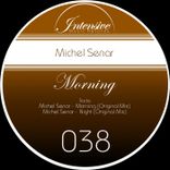 Artwork voor "The Morning"