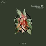 Portada para "Galaxy"