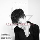 Artwork voor "Love in Your Soul"