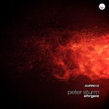 Artwork for "Ehrgeiz"