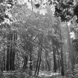 Portada para "Believe / Elevate"