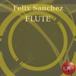 Portada para "Flute"