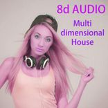 Artwork voor "Multidimensional House"