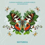 Artwork for "Metamorfosis"