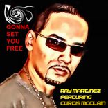 Artwork for "Gonna Set You Free"