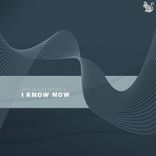 Artwork für "I Know Now"