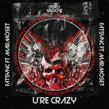 Artwork voor "U're Crazy"