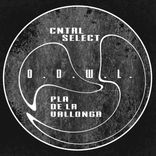 Artwork for "Pla de la Vallonga"