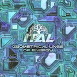 Portada para "Geometrical Lines of Energy"