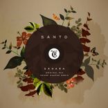 Artwork for "Sahara"