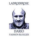 Portada para "Dario Fashion Blogger"