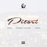 Artwork for "Pitori"