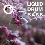 Liquid Drum & Bass Sessions 2020 Vol 11