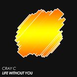 Artwork for "Life Without You"