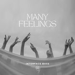 Artwork voor "Many Feelings EP"