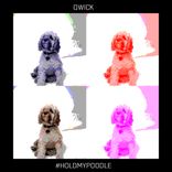 Artwork voor "#HoldMyPoodle"