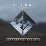 Artwork for "Tundra"