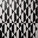 Portada para "Planet Savage"