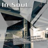 Artwork for "In Soul"