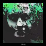 Portada para "Driving Mad"