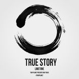 Artwork voor "True Story"
