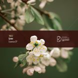 Artwork for "Essence EP"