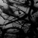 Artwork for "Various Artists"