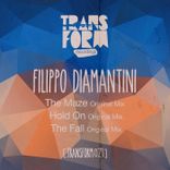 Portada para "The Maze / Hold on / The Fall"