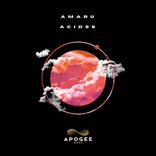 Artwork for "Acid99"