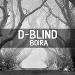 Portada para "Boira"